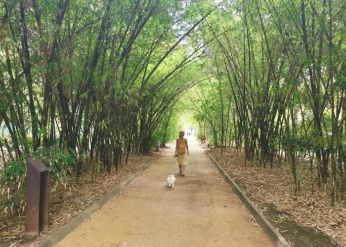 Home2book Comfy & Bright Attic, Cruz (adults Only) * Santa Cruz de Tenerife